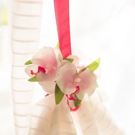 Iris 公寓